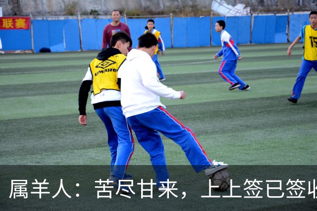 属羊人：苦尽甘来，上上签已签收，八十一难已过完，无灾无难